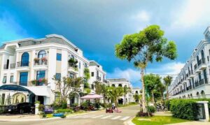 Vốn đầu tư bất động sản dịch chuyển từ Đông sang Tây, tỉnh Long An thu lợi-2